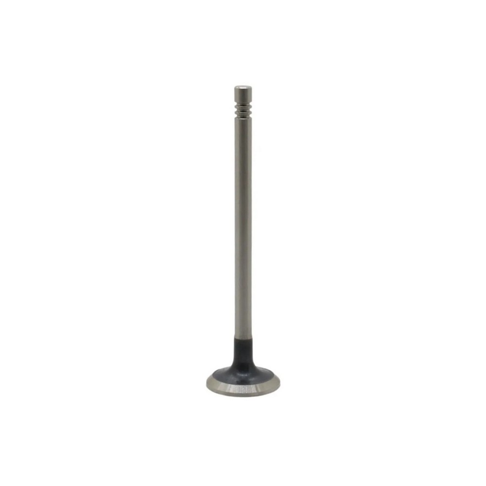 Válvula de Escape Mahle/Metal Leve VE0181767STD