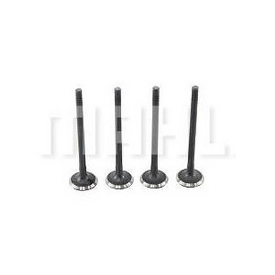 Válvula de Escape Mahle/Metal Leve VE0701422STD