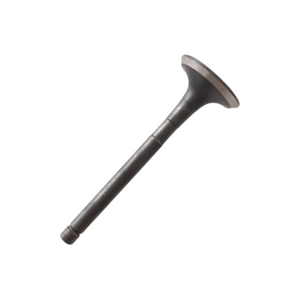 Válvula de Escape Volkswagen 030109611AE