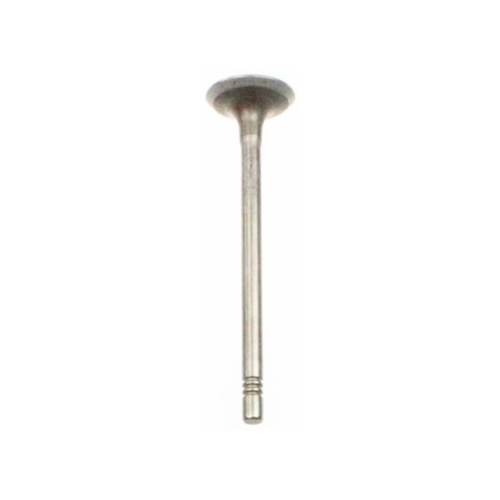 Válvula de Escape Volkswagen 030109611AG