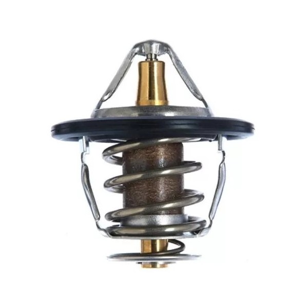 Válvula Termostática Hyundai 255003C100