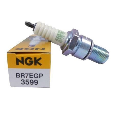 Vela de Ignição NGK BR7EGP